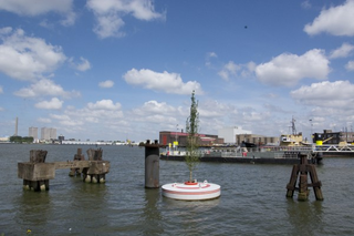 Illustration for article titled A Floating Forest Will Add Instant Greenery to Rotterdam's Harbor